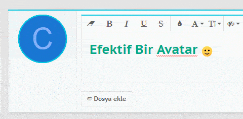 bir etkin-avatar.gif
