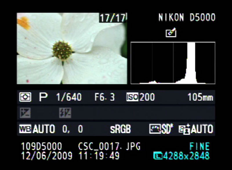 histogram-nikon.jpg