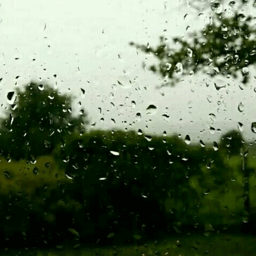 m171014_34c20.gif