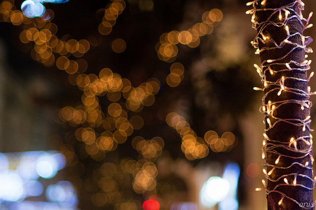 bokeh.jpg