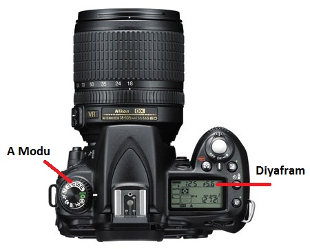 Nikon_D90_a1.jpg