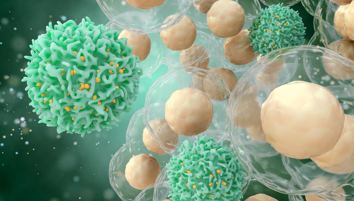 Omicron'a karşı çapraz bağışıklık umudu: T hücreleri yüzde 70-80 oranında koruma sağlıyor