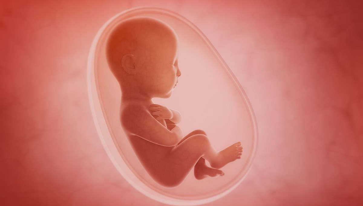 Harvard Üniversitesi’nden önemli çalışma: Covid-19’lu hamile ölümlerinin nedeni bebeğin cinsiyeti olabilir