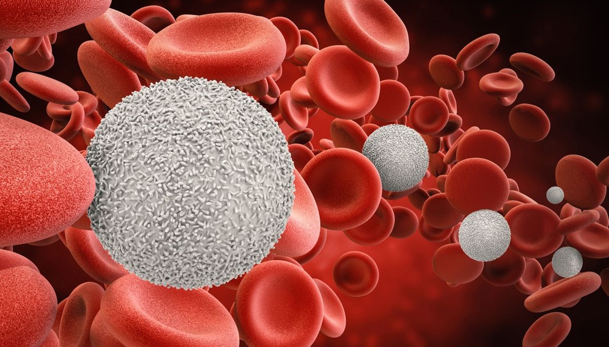 Araştırma: Kan grupları sağlığa dair ipuçları verebilir